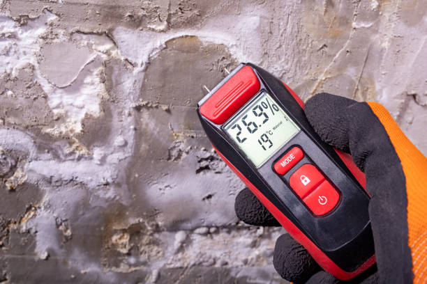 Best Professional Mold Removal  in West Glens Falls, NY