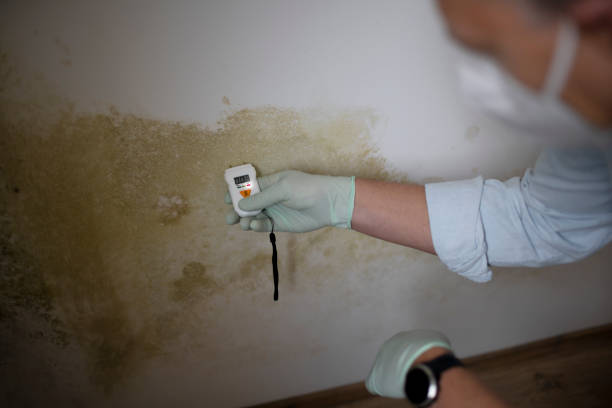 Best Office Mold Removal Services  in West Glens Falls, NY